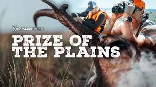 PRIZE OF THE PLAINS  Pronghorn Antelope Hunting in Wyoming [upl. by Platon245]