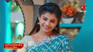 Paluke Bangaramayena  Promo  9th Nov 2024  Star Maa Serials  MonSat at 130 pm  Star Maa [upl. by Namad442]