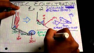 Biomechanics Static Equilibrium Tutorial Example 2 [upl. by Dyann630]