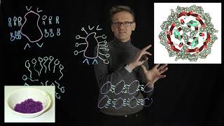 Lecture 08 concept 06 The first membrane protein structure  bacteriorhodopsin [upl. by Cogan419]