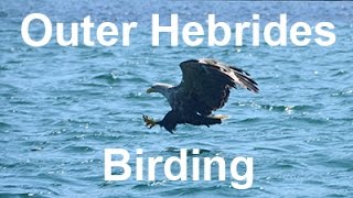 Outer Hebrides Birding May 2016 [upl. by Lobel131]