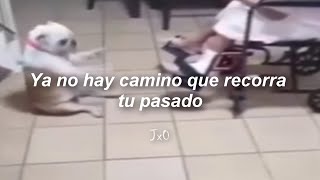 Perro bailando  Ya No Hay Camino Que Recorra Tu Pasado  Letra [upl. by Saxena]