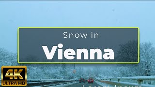 Austria Vienna  Snow in Vienna  Drive in Vienna  UHD  4K [upl. by Atews]