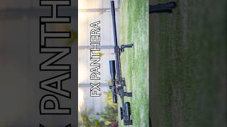 Unreal Airgun Accuracy  LongRange Headshot  Best Airguns in the world  FX Panthera  FX Airguns [upl. by Hako]