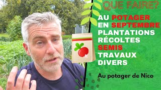 Ce que je fais en septembre 🍂  Les derniers semis grosses récoltes de tomates [upl. by Alphonsine]