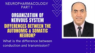 Neuropharmacology I organization of nervous system autonomicsomatic neurons amp neurotransmitters [upl. by Iblok]