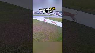 A brave dog saves a 6 year old boy’s life ❤️ shorts [upl. by Nnyleve]