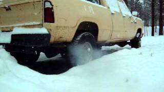 Cold start 1979 Dodge Power Wagon exhaust shot [upl. by Inaleon]