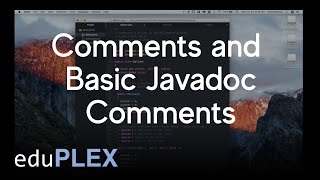 Comments and Basic Javadoc Comments  Java Syntax and Style  AP Computer Science A  eduPLEX [upl. by Nnylf]