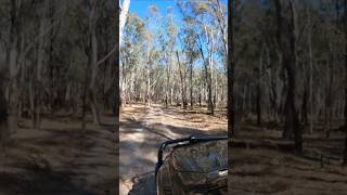 This is CORRYS ROAD at BARMAH automobile [upl. by Yekciv]