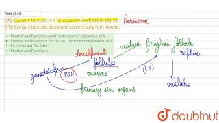 A Corpus luteum is a temporary endocrine gland R Corpus luteum does not secrete any hor [upl. by Elohcim]