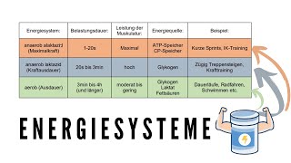 Energiesysteme des Körpers erklärt Aerob vs Anaerob [upl. by Odnavres]