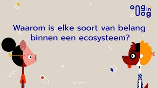 Oog in oog  Waarom is elke soort van belang binnen een ecosysteem [upl. by Yelnek]