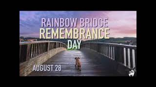 August 28  Rainbow Bridge Remembrance Day [upl. by Kevon]