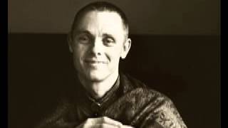 Adyashanti  What happens when I stop doing part 1 of 2 [upl. by Annoval70]