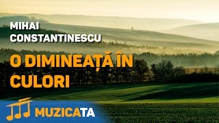 O dimineata in culori  Mihai Constantinescu [upl. by Renault505]