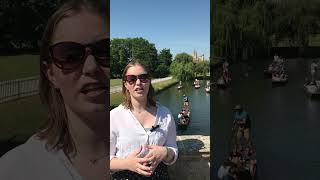 What is punting and where did it come from Bethan looks at this popular Cambridge activity shorts [upl. by Irita]