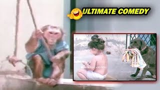 Kannada Comedy Videos  Baby Shamili Ultimate Comedy  Kannadiga Gold Films [upl. by Euqinotna823]