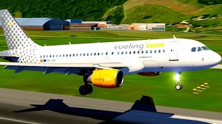 VUELING AIR A319 [upl. by Eatnuhs658]