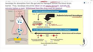 Antiparkinsonian drugs [upl. by Stelmach]