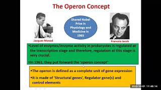 Lecture 18  The Operon Concept [upl. by Asirem]