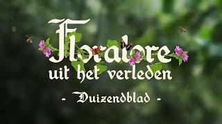 Floralore uit het verleden  Duizendblad [upl. by Byram]