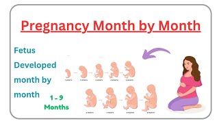 Pregnancy month by month  fetus develop month by month [upl. by Anileh]