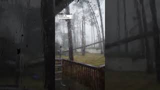 Dangerous Moment as Tree Falls Close to Florida Home  AccuWeather [upl. by Mohandis]