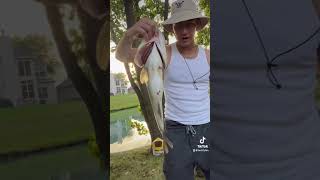 fishline bassfishing spottedbass fish fishing fishingisacontactsport sportfishing outdoors [upl. by Suzann]