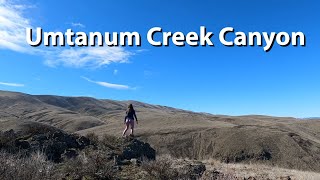 Hiking Umtanum Creek  Yakima Canyon adventures [upl. by Lorri]