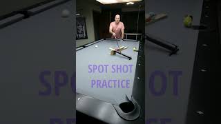 SPOT SHOT PRACTICE pocketbilliards 8ball 9ball [upl. by Nehgem]