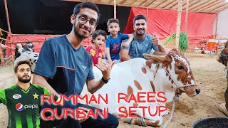 Rumman Raees Khan Qurbani Setup  RRK Foundation [upl. by Oimetra465]