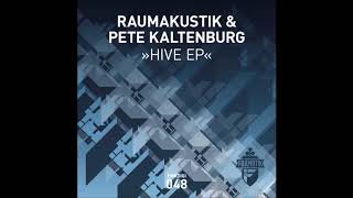 Raumakustik Pete Kaltenburg  Hive Original Mix [upl. by Chelsy]