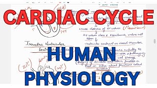 Cardiac cycle Events and Phases Pressure and Volume changes during cardiac cycle [upl. by Namyh886]