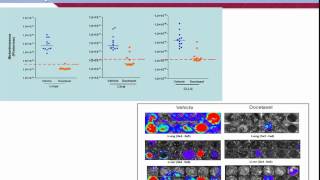 Benefits of orthotopic models [upl. by Enuahs]