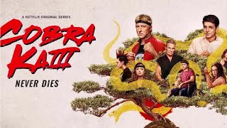 Cobra Kai Season 3 Review [upl. by Ottie196]