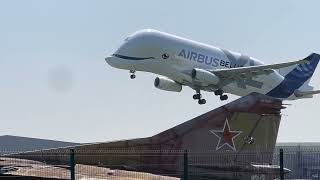 AIRBUS Beluga XL Take Off from CEG Hawarden Airport [upl. by Combs]