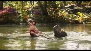 Bare Necessities  The Jungle Book Lyrics HD [upl. by Ransom319]