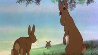 Watership Down  Parte 10 [upl. by Anastasio]