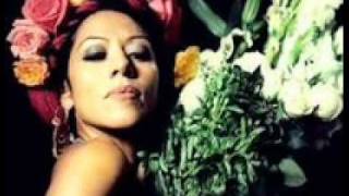 BESAME MUCHO  LILA DOWNS [upl. by Novyert]