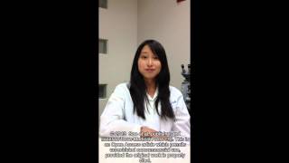 Video abstract Ospemifene for dyspareunia potential benefits in breast and bone ID 39146 [upl. by Nesnah13]