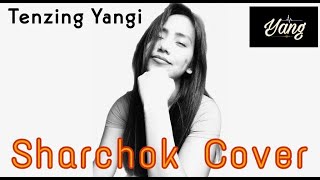 quotSharchokquot Ladakhi cover song by Tenzing Yangi [upl. by Udall]