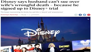 Disney Allergy Lawsuit is Crazy [upl. by Gaw375]