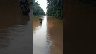 Kejebak banjir saat pulang kerja motor hampir tenggelam  shortvideo buruhsawit pekerjasawit [upl. by Akenihs]