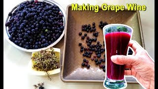 How To Make Grape Wine at Home  Homemade Red Wine Recipe  Craft Village [upl. by Edijabab657]