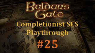 BGEE 25 Baldurs Gate Saga SCS Completionist Playthrough  Amazon Party and Mad Druids [upl. by Ainer]