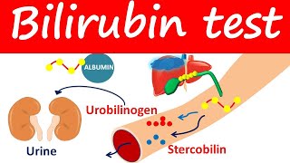 Bilirubin test  Direct Indirect amp Total bilirubin levels [upl. by Jit211]