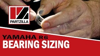 Sizing the Bearings on a Yamaha R6  Partzillacom [upl. by Tiler]