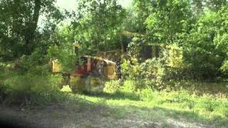 Tigercat M718E mulcher in Alabama [upl. by Orling]