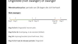 Ongesteld of zwanger [upl. by Arracot]